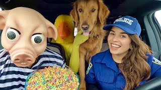 Rubber Ducky Surprises Pig &amp; Puppy With Car Ride Chase!