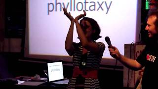 The dance of phyllotaxy