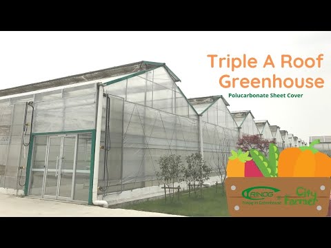 Video: Mga Greenhouse Ng Russia - Paggawa At Pagbebenta Ng Mga Greenhouse At Greenhouse