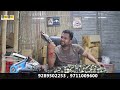 Melody Toffee Wholesale Business 🍫 | Melody Toffee का होलसेल बिज़नेस कैसे शुरू करें | Small Business