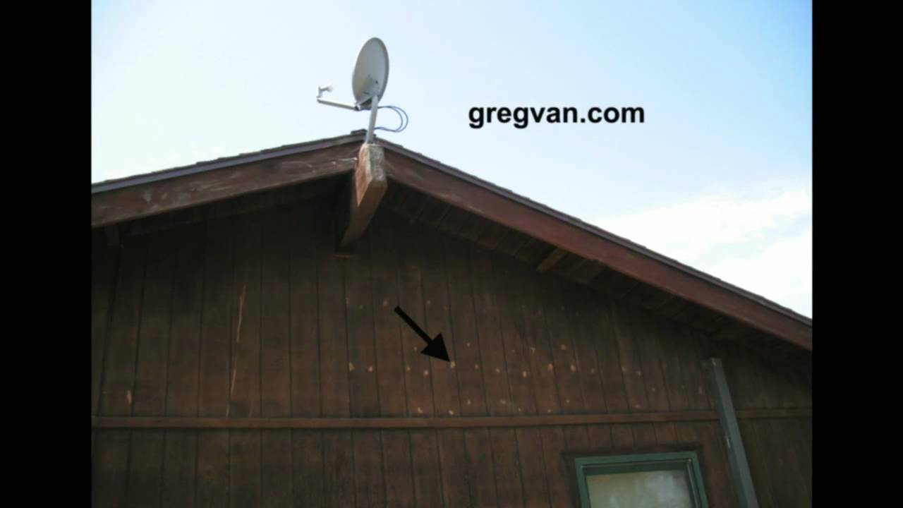 Plywood Siding And Wood Filler Tips Paint Stains Or Painting YouTube