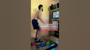 [DDR SUPERNOVA 2] Flow Jammin Ragga Mix EXPERT Slowdown Section