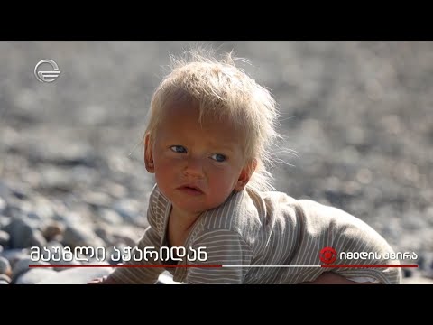 მაუგლი აჭარიდან - 11 თვის კაი, რომელიც შავი ზღვის სანაპიროზე იზრდება