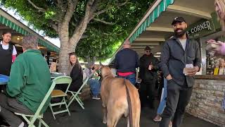 Cash 2.0 Great Dane at The Grove and Farmers Market in Los Angeles 41