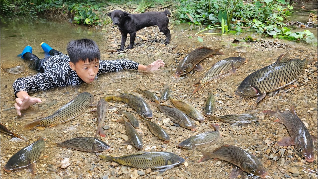 Full video: Primitive fish catching skills, harvesting bananas for sale.Gardening to grow vegetables