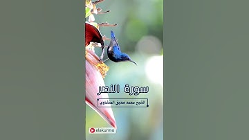 سورة النصر | بصوت الشيخ محمد صديق المنشاوي  #القرآن_الكريم