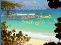 العصفور المغرور للصف الرابع الابتدائي العصفور المغرور للصف الرابع الابتدائي