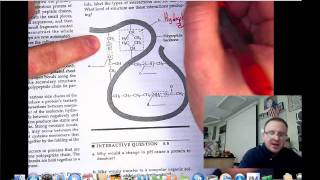 Structure and Function of Macromolecules Study Guide Answers.m4v