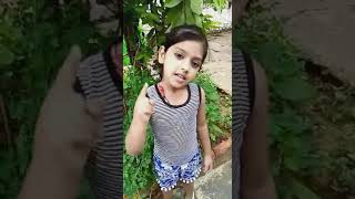 Short Video, Big Fun