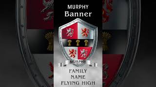 Murphy Family Crest | Lions and Gold Wheat Sheaves | 24 Sec Short #history #familycrest #booktok