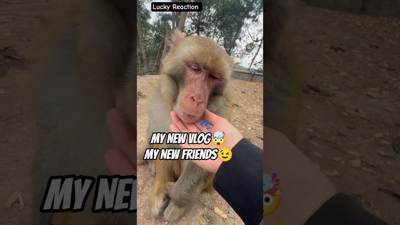 Someone like my friend😉🤯mini vlog 😱#shortsfeed#shortsviral#minivlog#minivlogshorts#vlogger