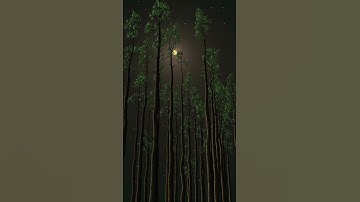 Full moon in different trees! #moon  #nature  #trees  #tree #shorts  #short