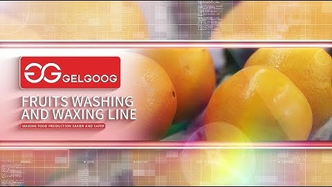Tangerine Fruit Washing Waxing Drying Sorting Machine +8618595613260
