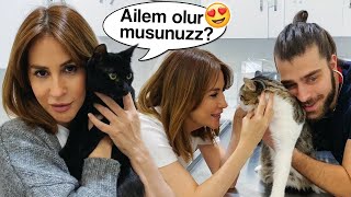 AYNUR AYDIN Kliniğimizi Ziyaret Etti! Kedi Sahiplendirme Videosu! (Birinci Bölüm) #TheVet