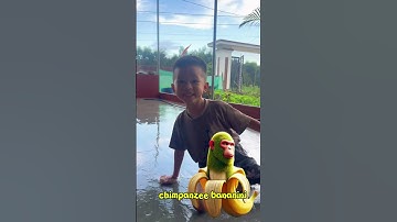 Ddoc tên các quái vật brain rot | Tippi TV #tippitv #tippivips