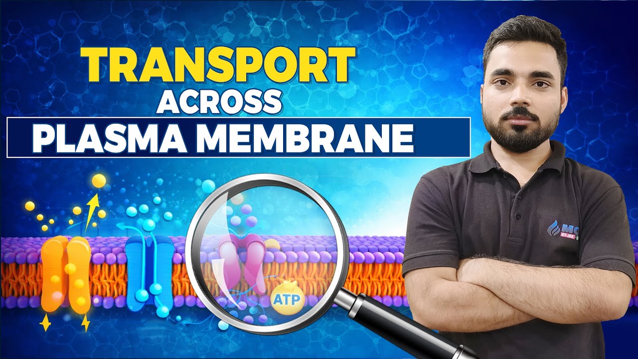 Transport Across Plasma Membrane: Diffusion, Facilitated Diffusion & Active Transport Explained