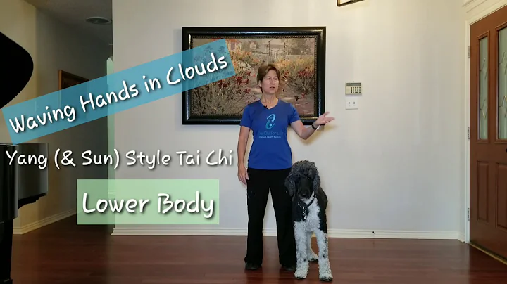 Waving Hands in Clouds Yang Style Tai Chi, Lower Body Lesson 2