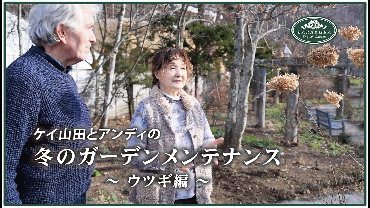 【ケイ山田とアンディのガーデンメンテンス】ウツギの剪定 編