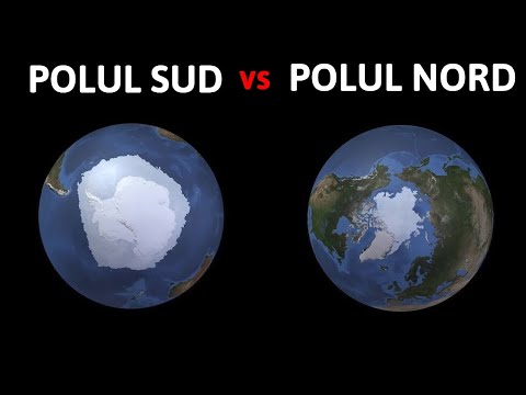 Video: Cum Să Supraviețuiești în Arctica