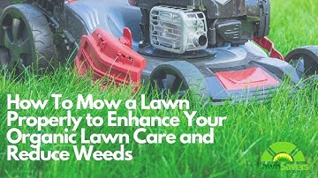 How to Mow a Lawn properly to enhance your organic lawn care and reduce weeds