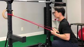 Isometric Row Squats - latissimus dorsi engagement Exercise