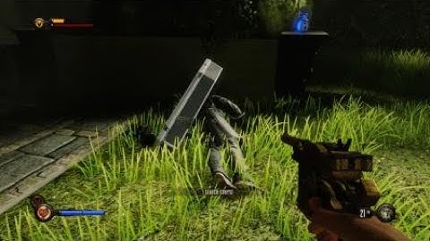 Bioshock Infinite: The Complete Edition Zealot of the Lady Boss Battle