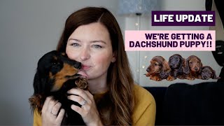 LIFE UPDATE: We're getting a Dachshund Puppy! | Miniature Dachshund UK