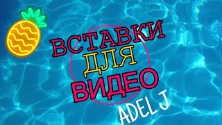 ВСТАВКИ ДЛЯ ВИДЕО|из спанчбоба |ADEL J