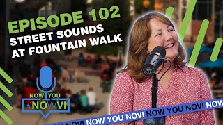 Now You Novi - Episode 102 - Street Sounds at Fountain Walk Now You Novi - Episode 102 - Street Sounds at Fountain Walk