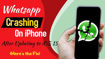 (Fixed) WhatsApp Crashing issue on iPhone (iOS 15)