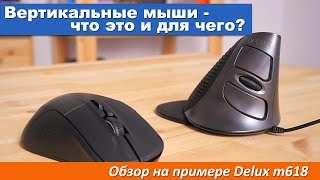 Вертикальные мыши - что это и для чего? Обзор на примере Delux m618