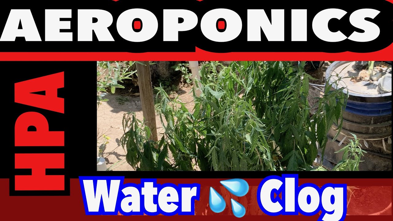 Outdoor HPA High Pressure Aeroponics Water Clog