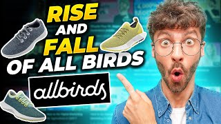 The Rise & Fall of AllBirds - eCommerce Giant