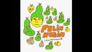 Felix Kubin - Idiotenmusik 2