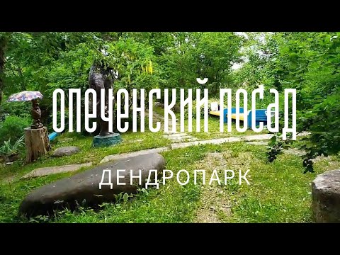 Видео: Дендрарий в село Опеченски Посад описание и снимки - Русия - Северозапад: Новгородска област