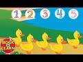 Five Little Ducks Quiz