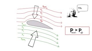 Part 2  Coanda effect, Bernoulli's Principle and Lift