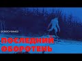 ПОСЛЕДНИЙ ОБОРОТЕНЬ  №6 ( Автор: Волк Анфа Anfia Werwolf ) - ЧИТАЕТ СЕРГЕЙ ДЕНИСОВ