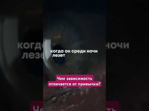 ПЕРВЫЙ ПРИЗНАК ЗАВИСИМОСТИ #василийшуров #психиатр