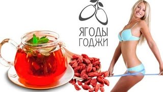 Где купить ягоды годжи Где купить ягоды годжи