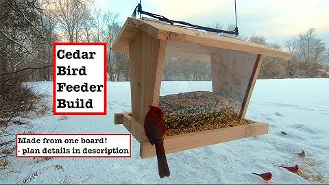 Cedar Bird Feeder Build (Made from 1 board + plexiglass)