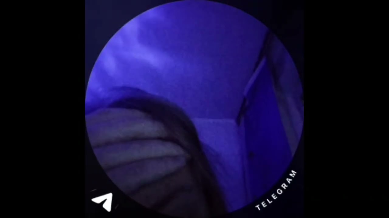 FIILLHEADĐ — ЯУжеУмирал. (snippet 13.02.2025)*