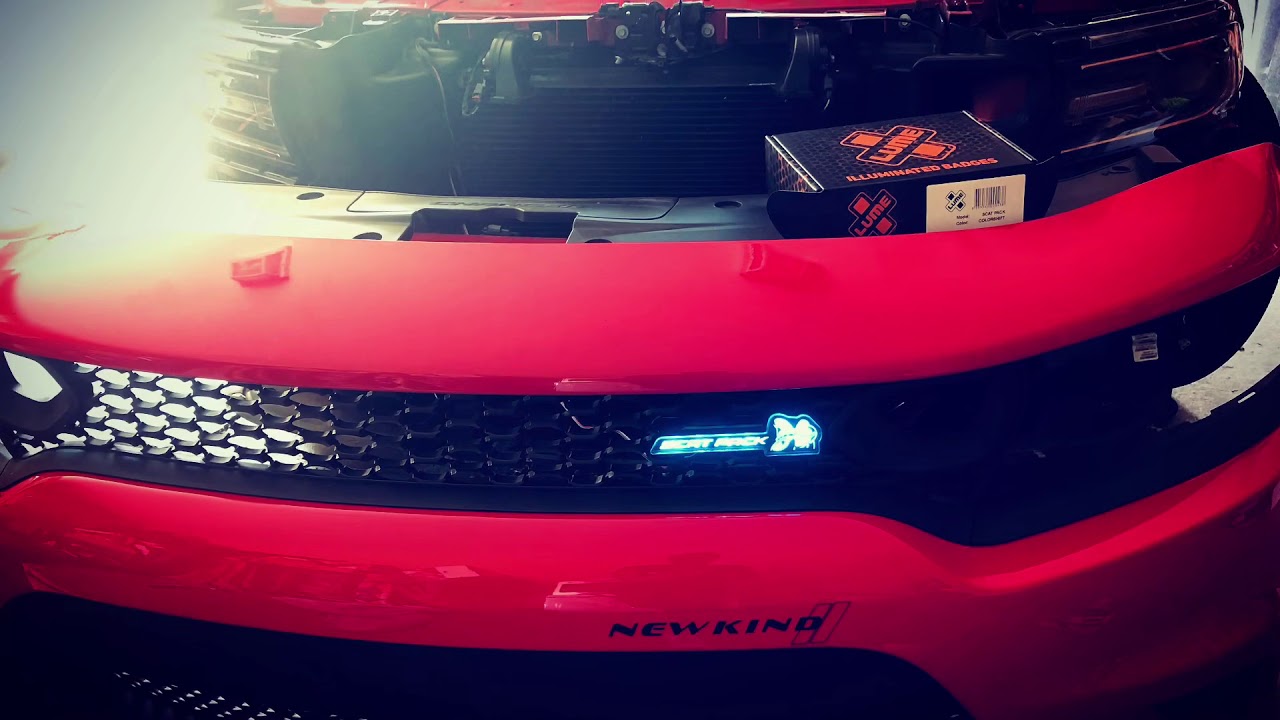 Scat Pack X Lume Unboxing | Lighting setup walk-around 🐝