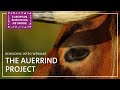European Rewilding Network | Rewilding Intro | The Auerrind Project