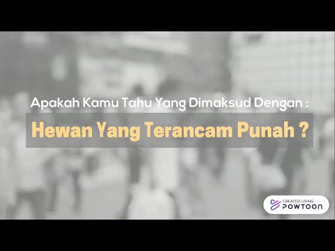 Serba-Serbi Cara Pencegahan Kepunahan Hewan