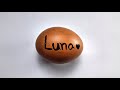 The Ultimate Raw Egg Peeling Showdown