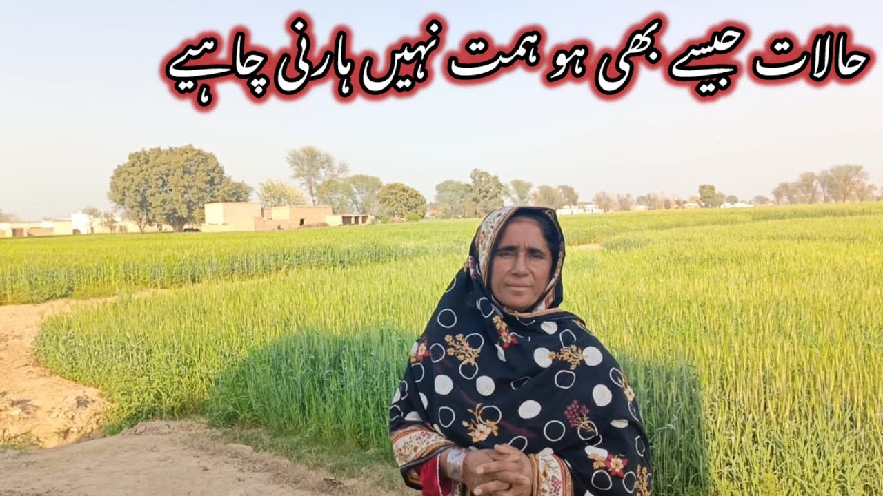 Halat Jaise Bhi Ho Himmat Nahin Harni Chahie