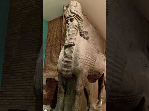 Video: Britų muziejus: visas vadovas