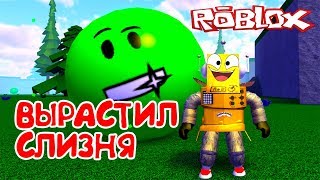 СИМУЛЯТОР СЛИЗНЯКА РОБЛОКС! ВЫРАСТИЛ СЛИЗНЯ в Roblox Slime Simulator