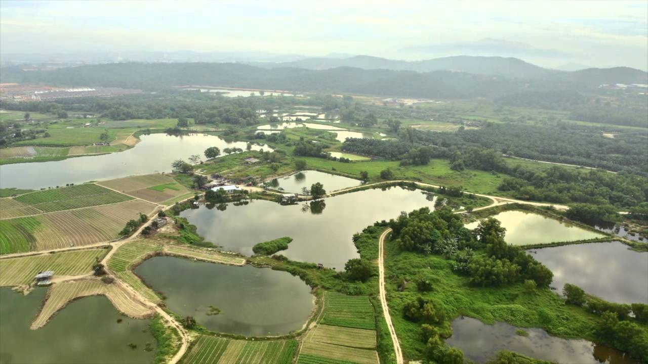 Funfly at Kundang 010115 by JanjiFly